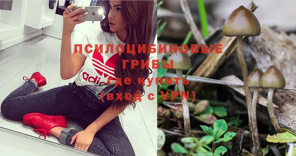 спиды Навашино